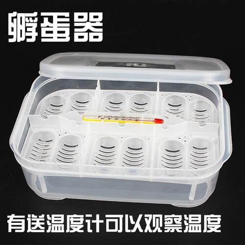 CM爬虫守宫蜥蜴宠物蛇陆龟水龟爬宠孵化蛋托送盒爬虫孵化蛋孵化器