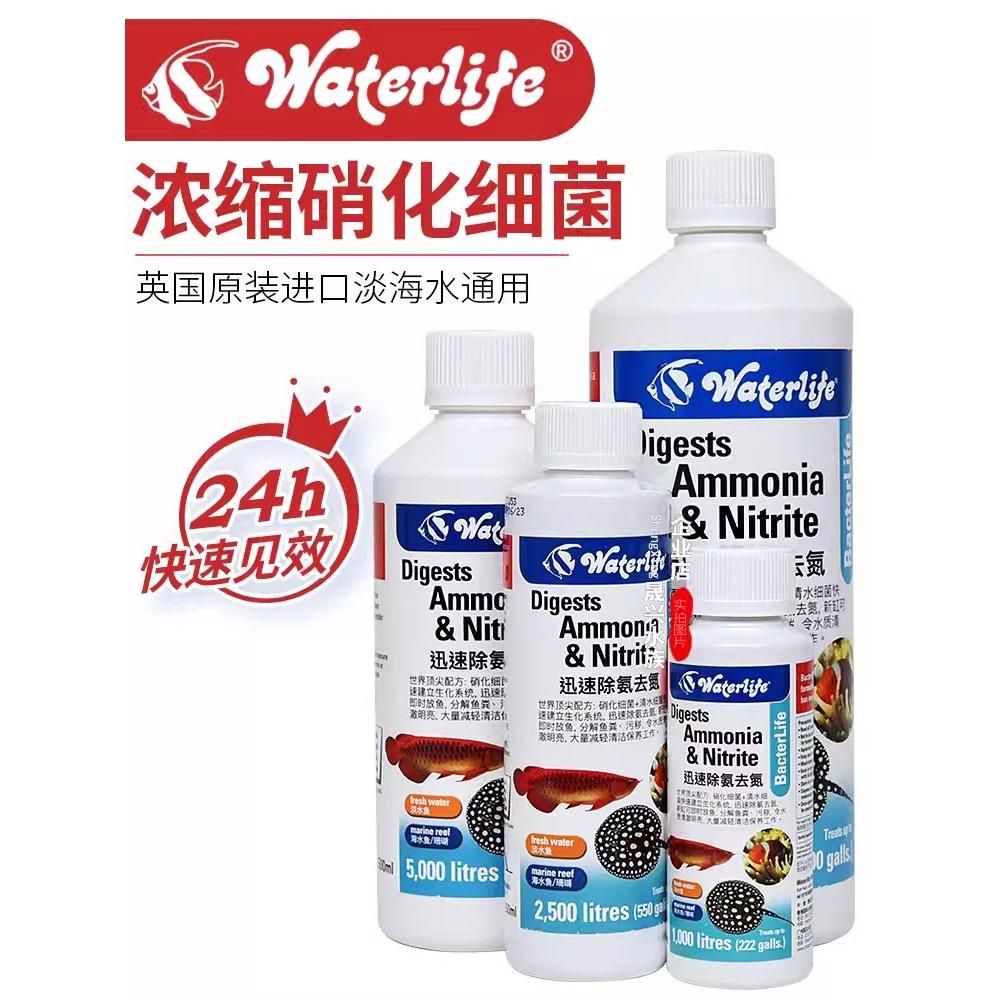 富达英国进口水生物硝化细菌水质稳定剂维生素水净化细菌龙鱼推广