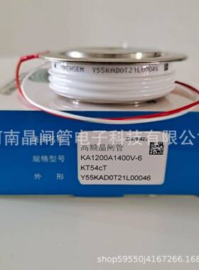 TECHSEM台基可控Y55KD1硅200AA1200V300CKVV14001V中频炉高频晶闸