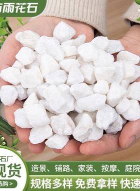 白色砾石庭白UEZ院绿植装饰雪花白鹅卵子石汉玉卵鹅石白石厂家