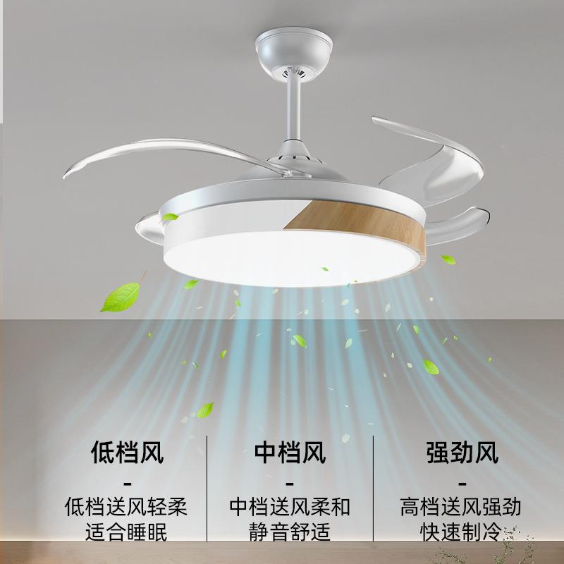 大风力扇灯2DVB风025新款吊扇灯厅扇餐厅卧室家客用一体吊灯静音