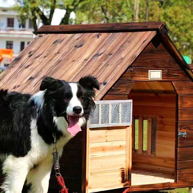 户外实木狗窝狗屋室外狗房子户外组装小屋狗窝豪华特大号大中型犬