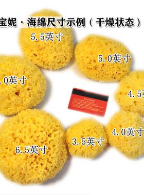BTV希4腊天然海藻自然棉色蜂窝洗澡角质海绵F7S5969S原5.5~6英寸