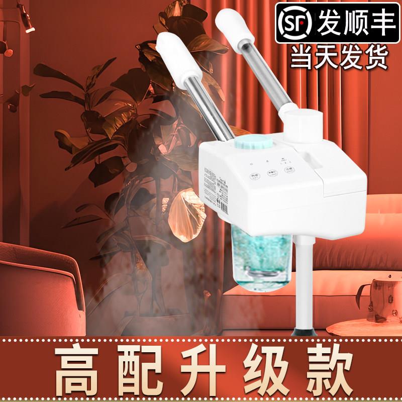 泰东冷热双喷蒸脸器热喷仪美容院专用喷雾机蒸气机热喷冷热喷仪器