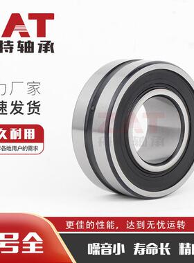 BS2-21226-RS/VT14SOM3密封调心子滚轴承钢厂轴承