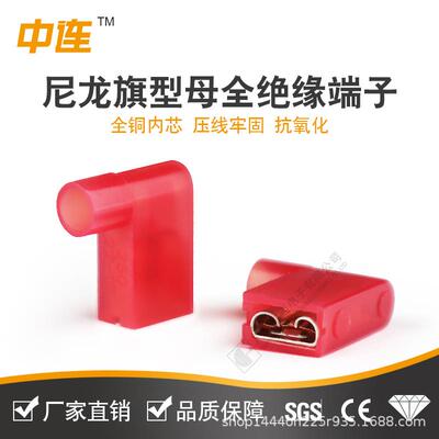 中连FDNY环保冷L压尼2龙旗JSG型母全绝缘端子1.25-250/--250/5.52