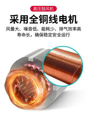 220V单相离心涡轮鼓2JM210风机高鼓风压机PCB设备2专1用漩涡气泵J