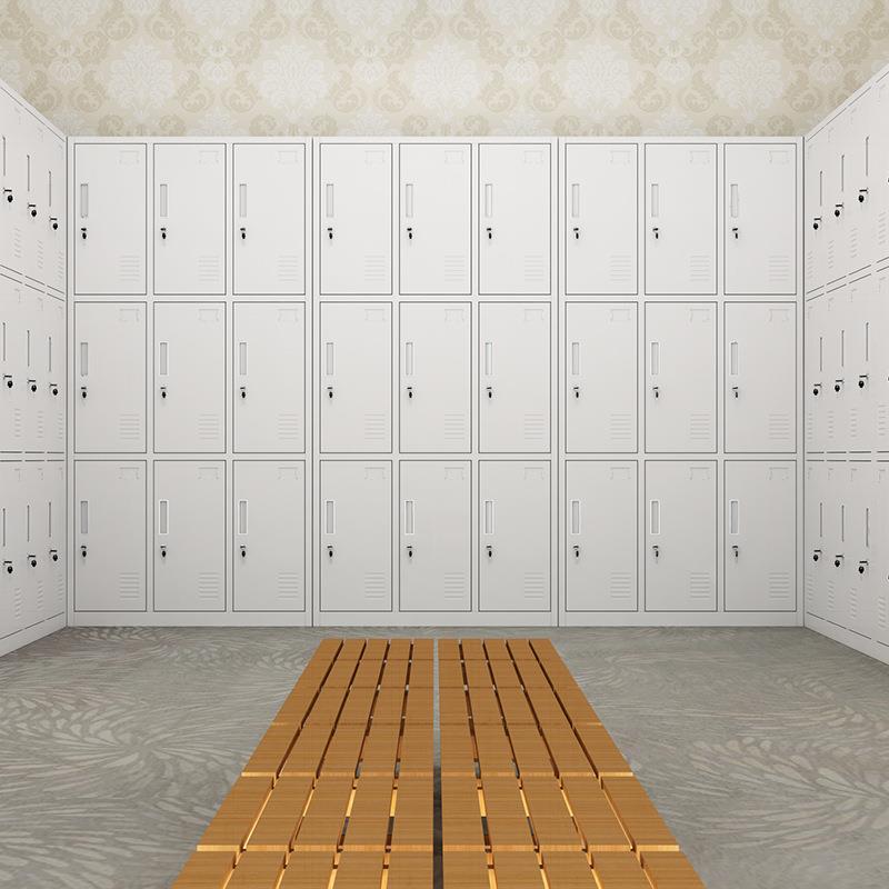 L6Y员工更柜铁皮存柜带衣锁储ECP物柜钢制六门九门包柜浴室健身房