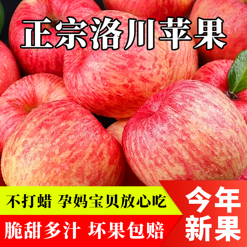 正宗陕西洛川红富士苹果