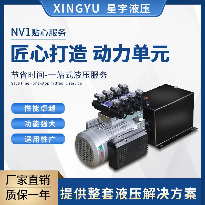 液压动力单元总成220V小微型双向液压泵站电动升降平台油缸