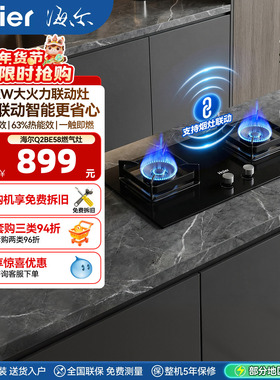 海尔Q2BE58燃气灶煤气灶家用双灶天然气灶台厨房家用煤气炉灶具