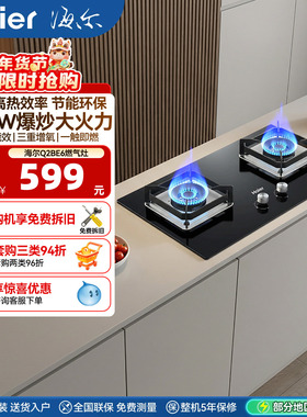 海尔Q2BE6燃气灶煤气灶双灶家用天然气猛火灶台嵌入式台式大火力