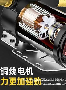 正反12V24V油220V伏电动MPH柴油抽器油泵自抽加吸泵抽油机柴油泵