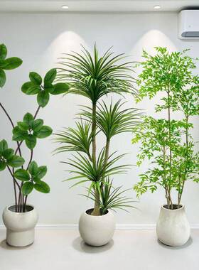 龙树仿真绿植高端植轻奢室大内客厅型仿生物DK-1214血落地装饰花