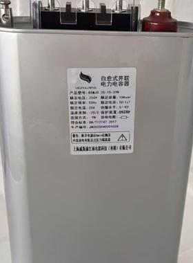 BSMJ自愈式并联电力电器分补系容列0.25VEL-5Y-1-15-32050V低压电