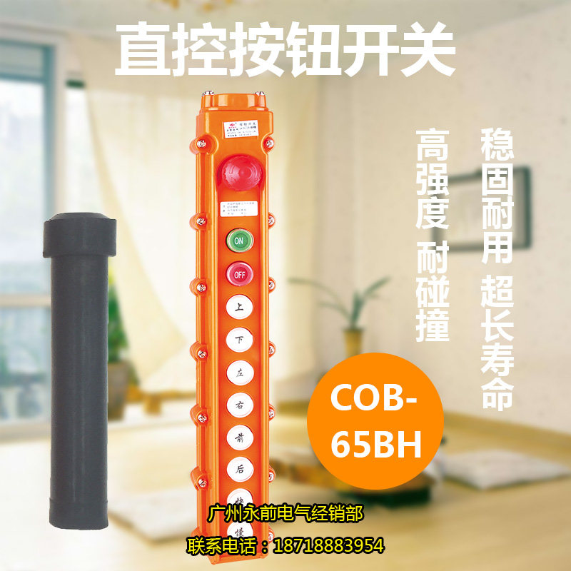 COB-65BH 防雨吊车按钮 行车开关 起重按钮开关 带急停开关 宝鼎