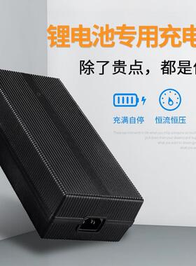 厂家直销Fuyuang 400W 福洋29.2V 8串磷酸铁锂14.6V20A 29.4V13A