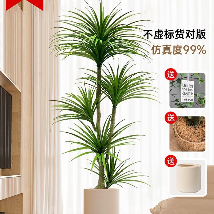 龙植树仿真绿植龙须树龙铁血树F98SS8JS客厅装饰室内大假物盆型栽