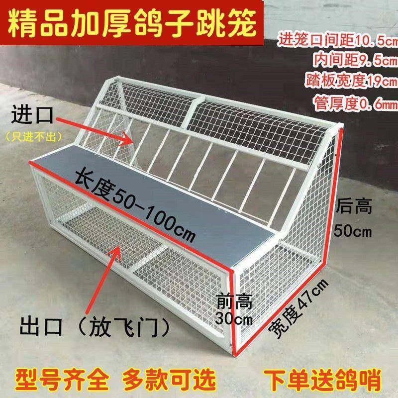 鸽踏PRM子跳笼鸽撞子用品用具信鸽赛鸽板门草跳笼鸽舍进口放飞窝