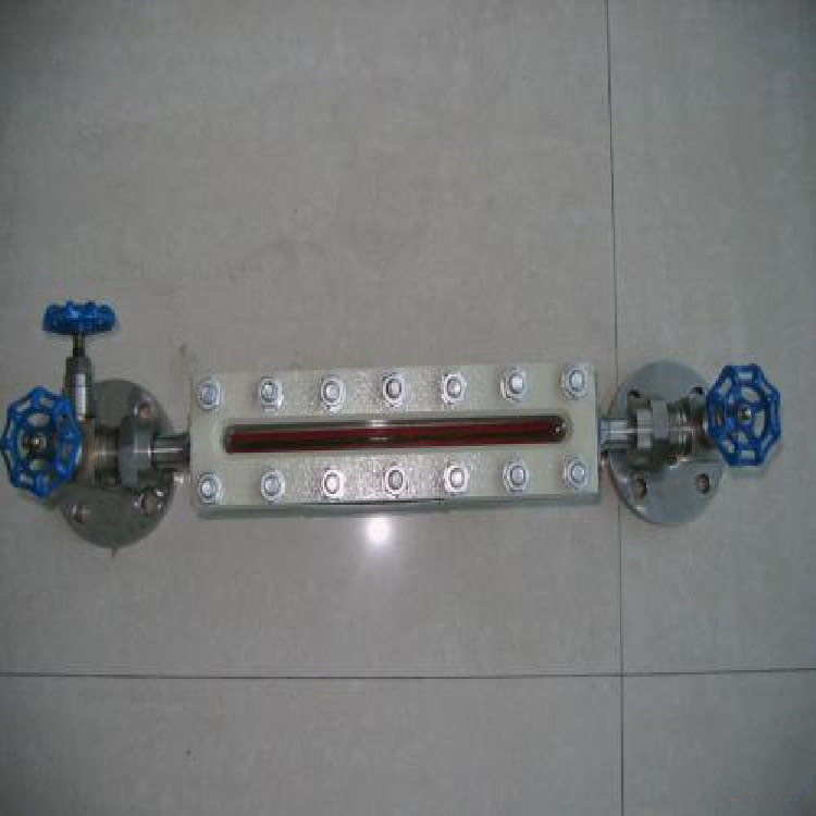 UDZ-3不锈钢玻璃管远传液位计