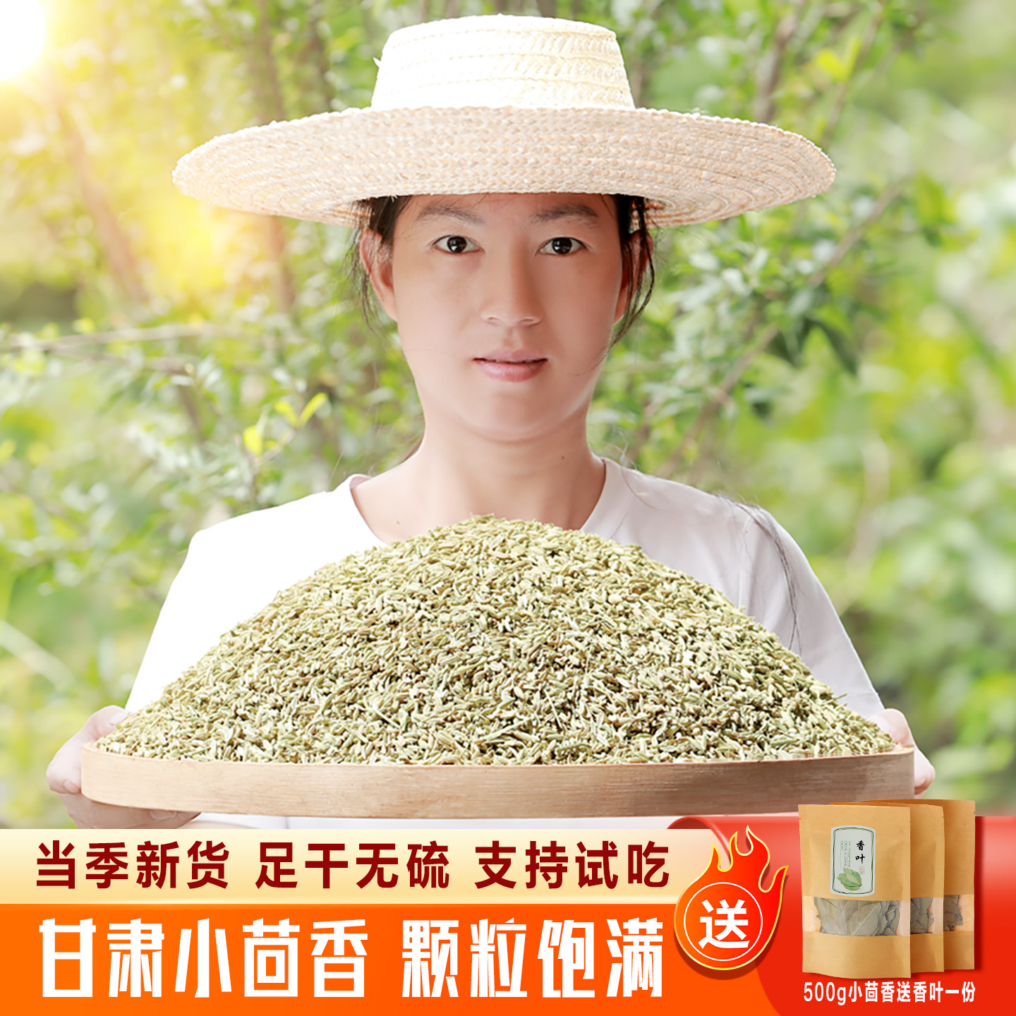 甘肃省民勤小茴香烧烤炖羊肉炖牛肉农家优质茴香籽香料调味品包邮