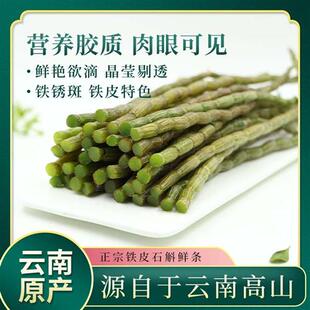 铁皮石斛夜光正品中药高黎贡山新鲜官方经营店非枫斗霍山石斛原浆