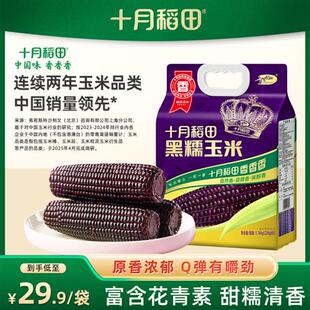十月稻田黄糯玉米黑糯白糯大棒东北苞米220gx8根粘糯新鲜官方真空