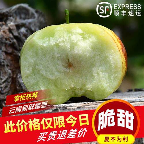 云南高原蟠枣新鲜现摘水果孕妇水果酥脆甜非冬枣3斤