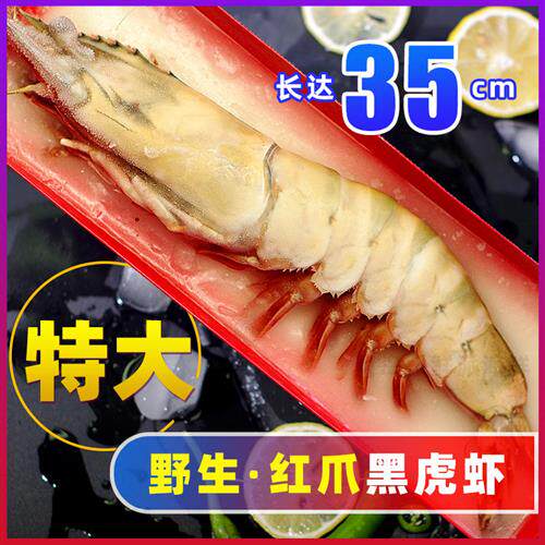 特大黑虎虾鲜活超大巨型野生红虎虾海捕大虾冷冻红爪大对虾礼盒装