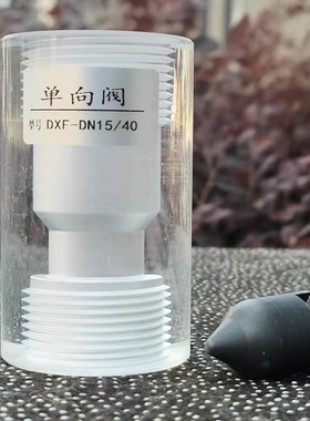 DN152540单向阀止回阀逆止阀透明有机玻璃材质二氧化氯发生器配件
