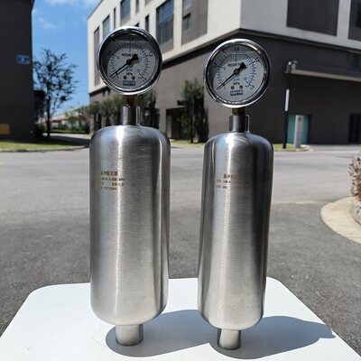 304/316L不锈钢空气式脉冲阻尼器