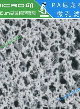 110mm有机尼龙微孔滤膜DMSO清洁度检测滤膜5um实验室抽滤膜0.45um
