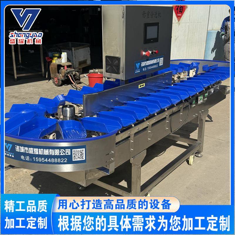 生蚝自动称重分级机 土豆在线自动称重分选机 鲈鱼重量分拣剔除机