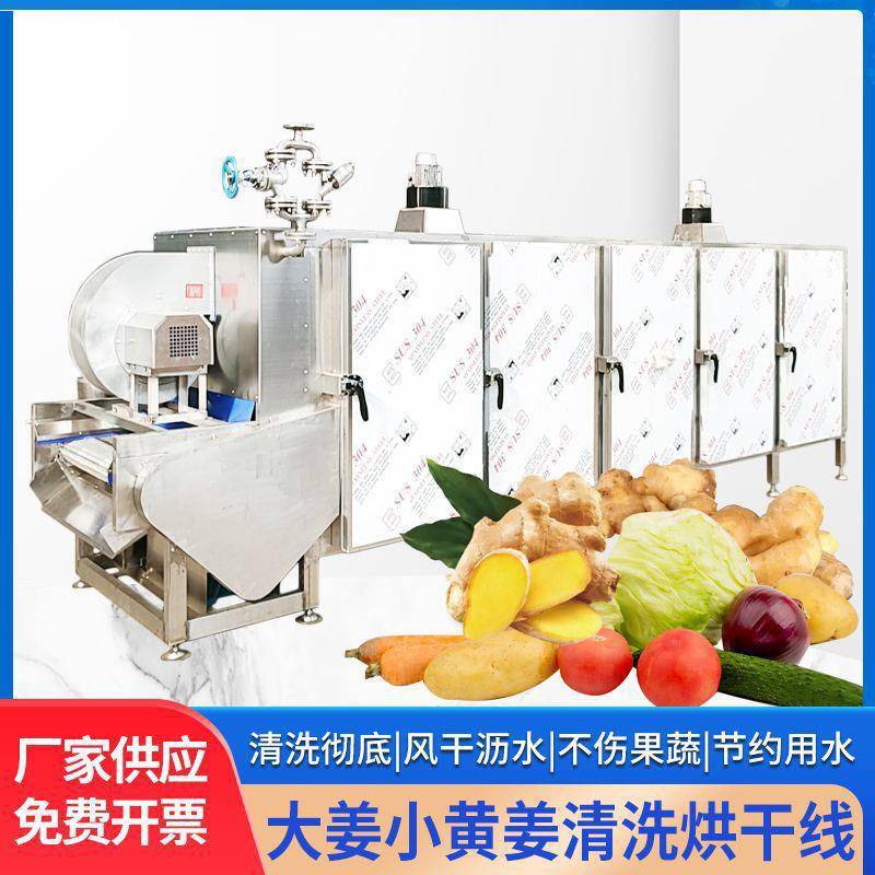 大姜小黄姜清洗烘干线流水线 网带式输送辣椒土豆果蔬隧道烘干机