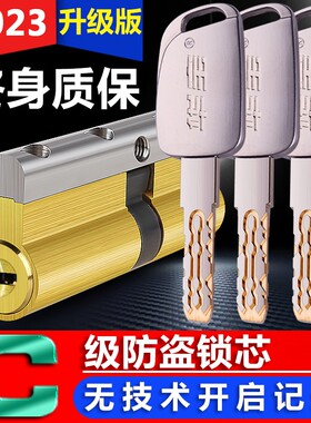 华宝 锁芯C级入户防盗门锁芯家用老式通用型大门铜锁芯叶片8轨道
