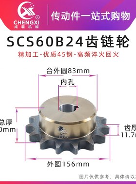 SCS高品质成型孔链轮6分 60B24齿 12A24T外径156精车内孔键槽顶丝