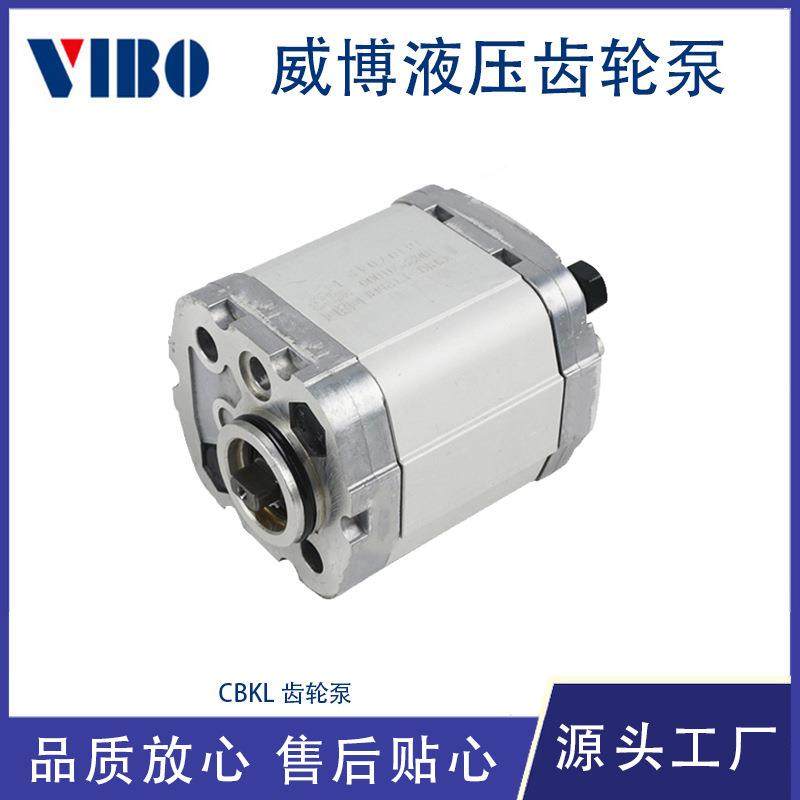 液压齿轮泵小型高压油泵大流量设备配件CBL系列动力单元,电子元器件市场,电机/马达,淘宝优惠券,粉丝福利购,淘宝优惠卷