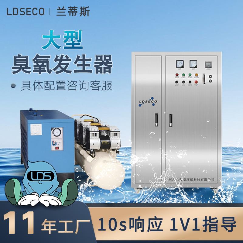 兰蒂斯水处理臭氧机大型饮用水除臭脱色空气源200g臭氧发生器