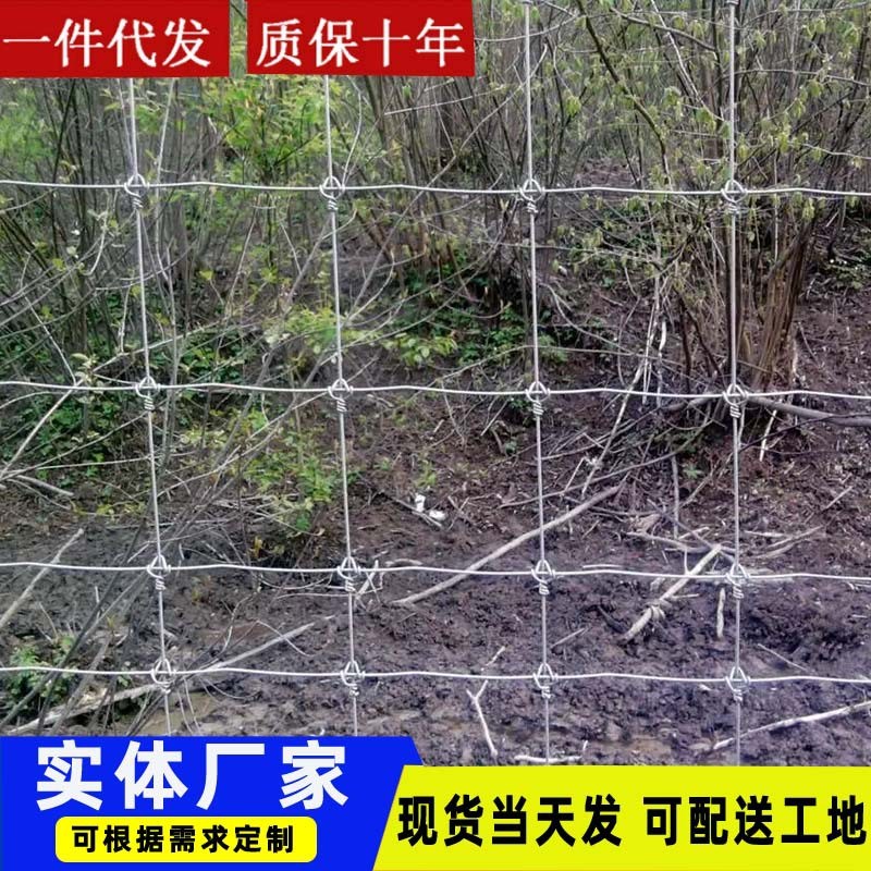 养鹿牛栏网镀锌钢丝编结草原网养牛羊鹿农业养殖打结钢丝围栏网