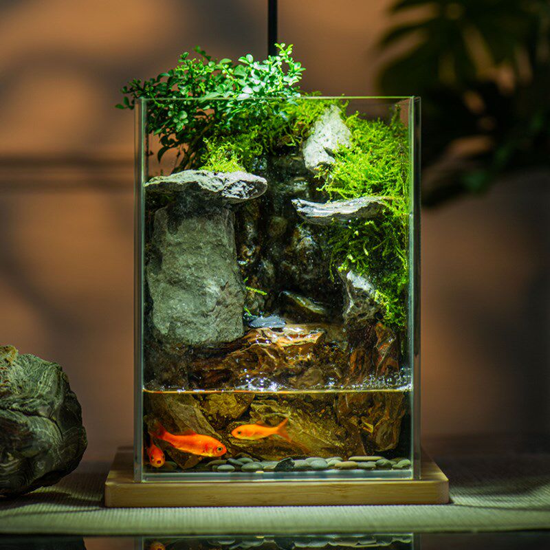 石上清泉苔藓微景观流水款养鱼缸真植物生态瓶办公室成品室内送礼