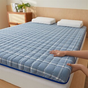 夏季 冰丝床垫软垫家用榻榻米垫子学生宿舍加厚凉感床褥亲肤软床褥