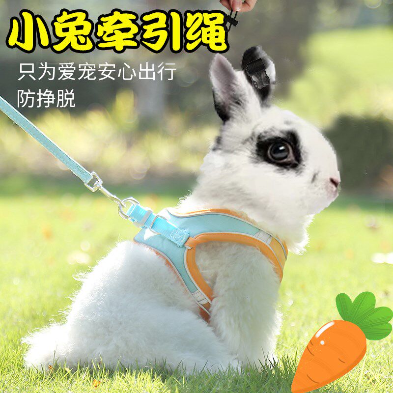 溜兔子牵引绳防挣脱小兔子外出专用栓绳子衣服侏儒兔绳遛兔的神器图片