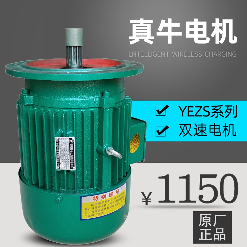 河南真牛电机YEZS3.3/2.2KW建筑塔机双速电动机异步高速交流立式