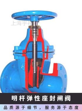 凯斯特/KIST 明杆弹性座封闸阀Z45X-16Q DN50 DN65 DN80~400 球墨