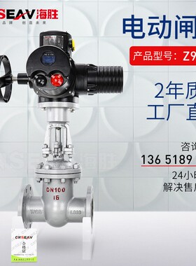 Z941H-16C 电动法兰铸钢闸阀DN32 40 50 65 80 100 125 150 200
