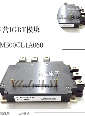 PM300CLA060 PM300CL1A060 PM300RLA060 PM600CLA060 PM300CVA060