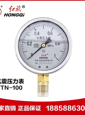 厂家直销 红旗仪表 耐震防震抗震压力表YTN-100 0-1MPa充油压力表