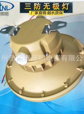 供应SBF6107-YQL40免维护节能防水防尘防腐无极灯电磁感应灯