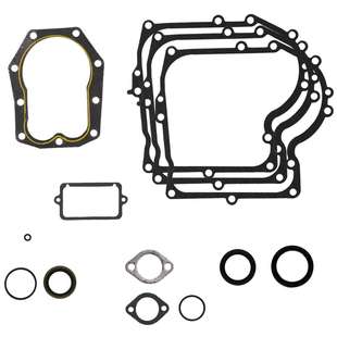494241 490525 Briggs Gasket Stratton Replacement Set And