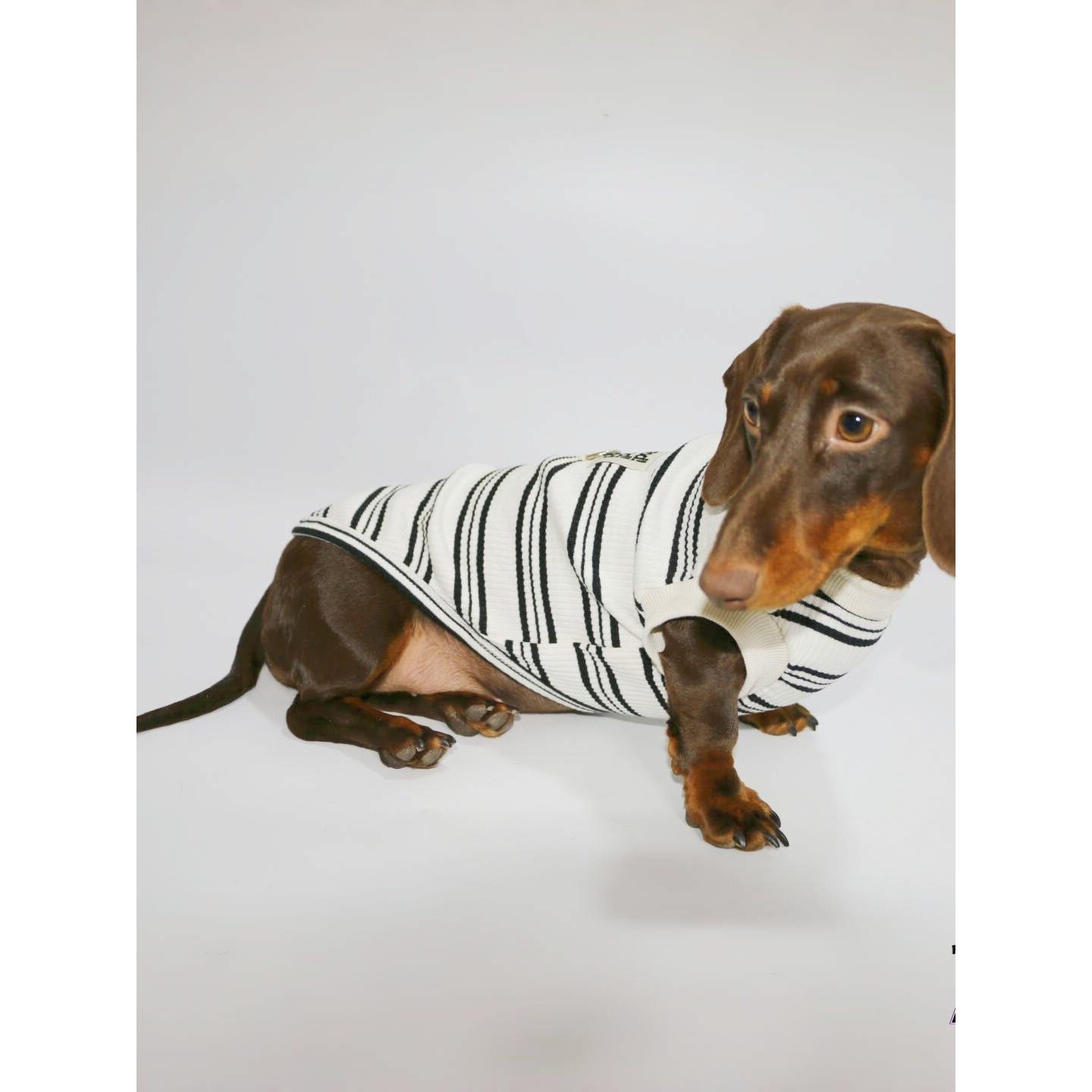 狗和猫宠物衣服春夏舒适条纹无袖背心腊肠犬迷你杜宾比雄波美拉尼